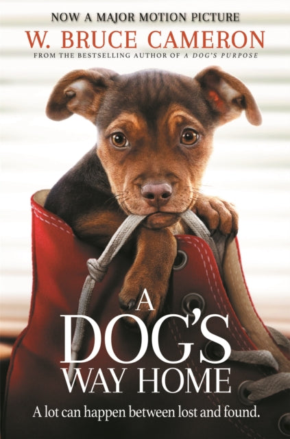Dog's Way Home