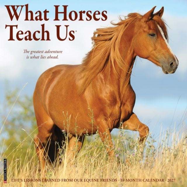 What Horses Teach Us 2027 Wall