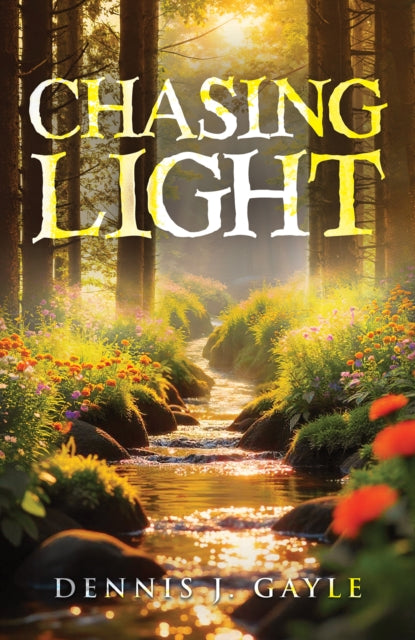 Chasing Light
