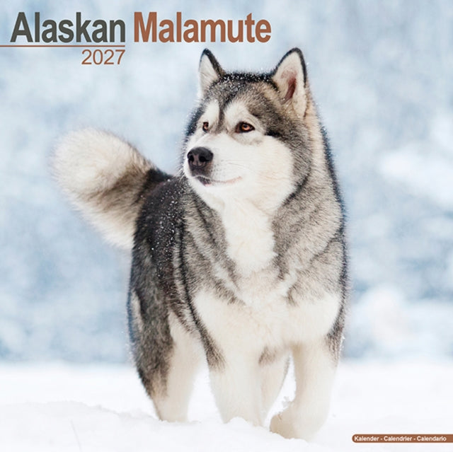 Alaskan Malamute Wall