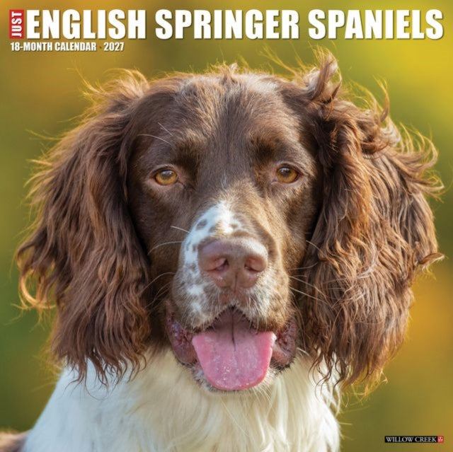 English Springer Spaniels 2027 Wall