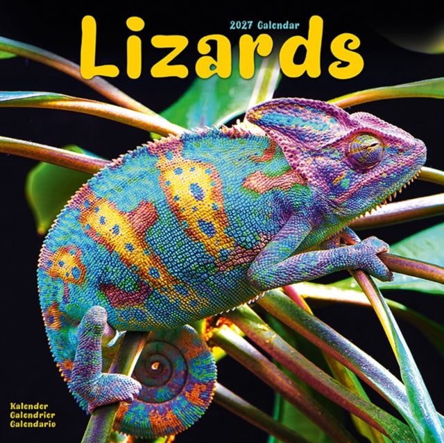 Lizards