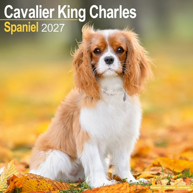 Cavalier King Charles Spaniel Wall