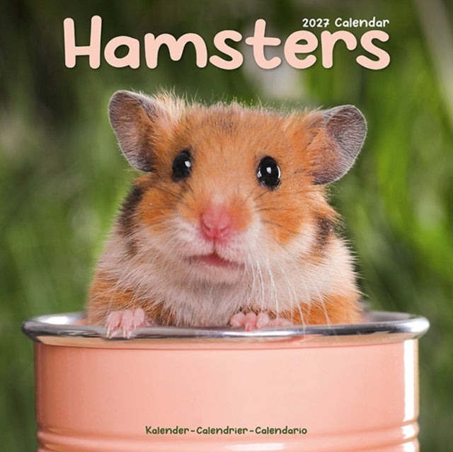 Hamsters Wall