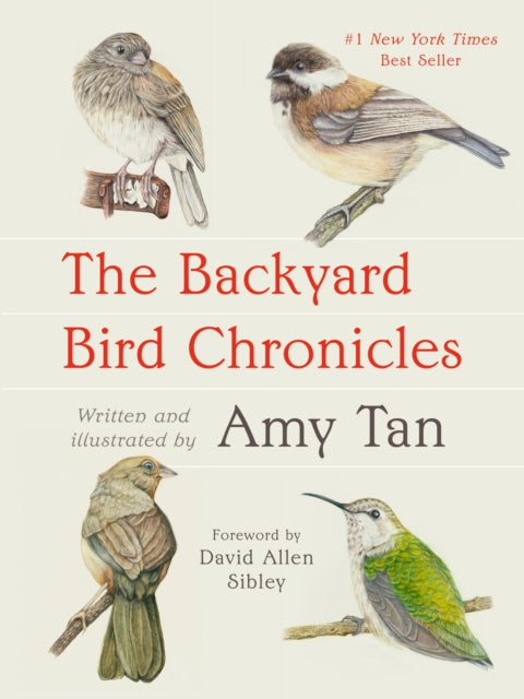Backyard Bird Chronicles