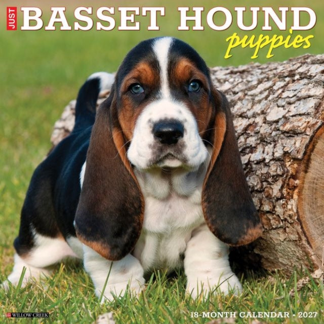 Basset Hound Puppies 2027 Wall