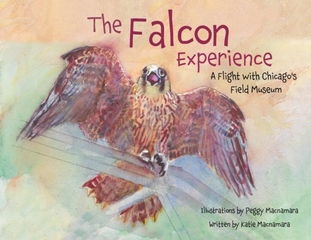Falcon Experience