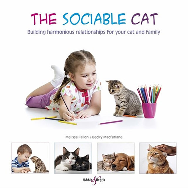Sociable Cat