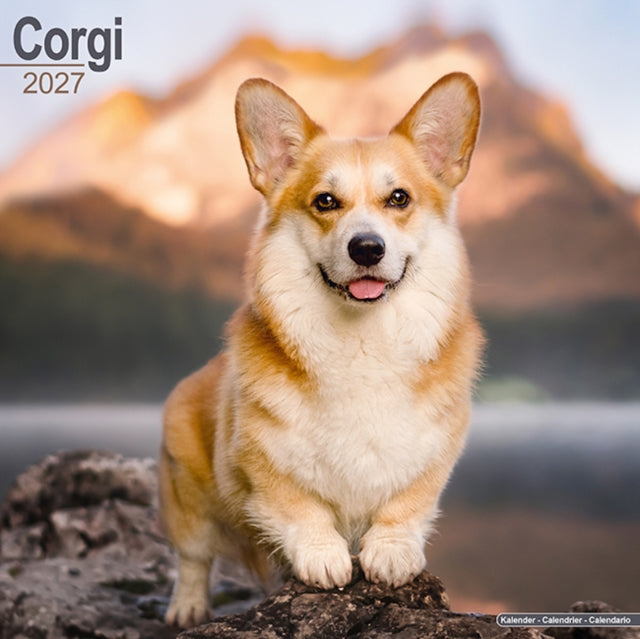 Corgis Wall