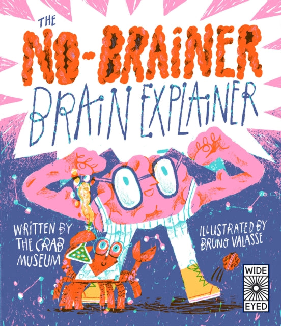 No-Brainer Brain Explainer