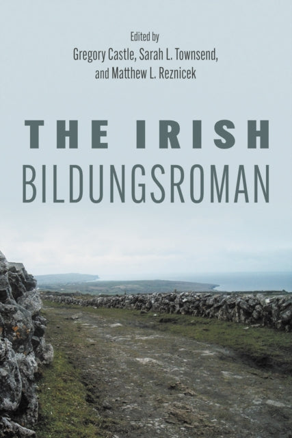 Irish Bildungsroman