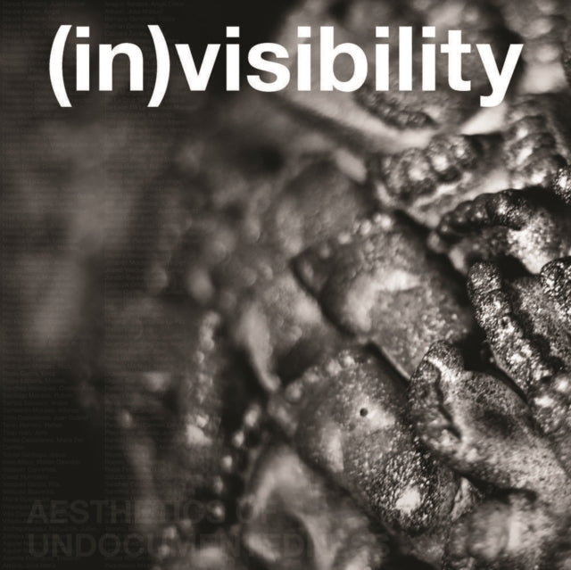 (in)visibility