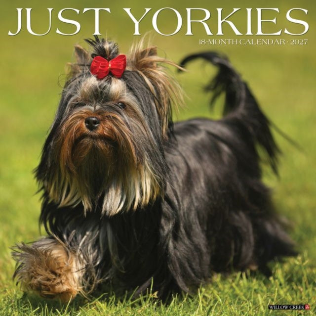 Yorkies 2027 Wall