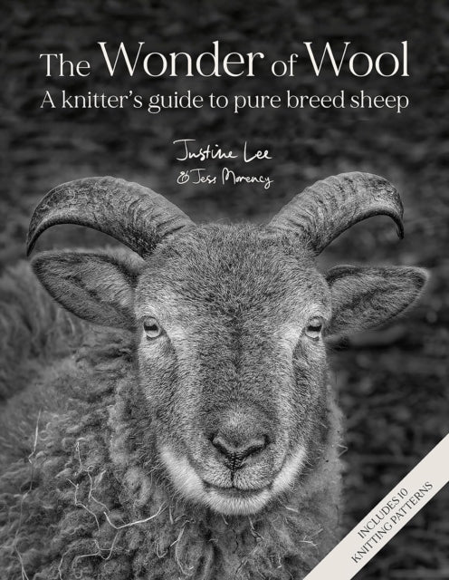 Wonder of Wool