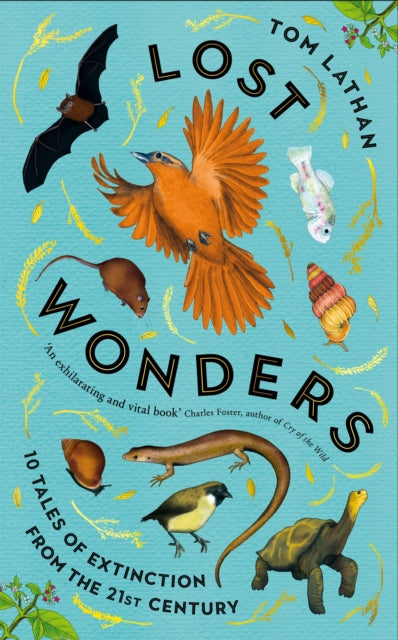 Lost Wonders