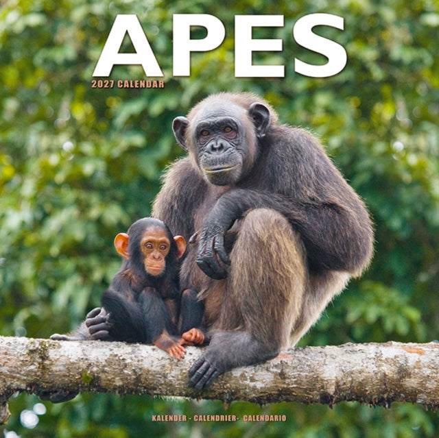 Apes