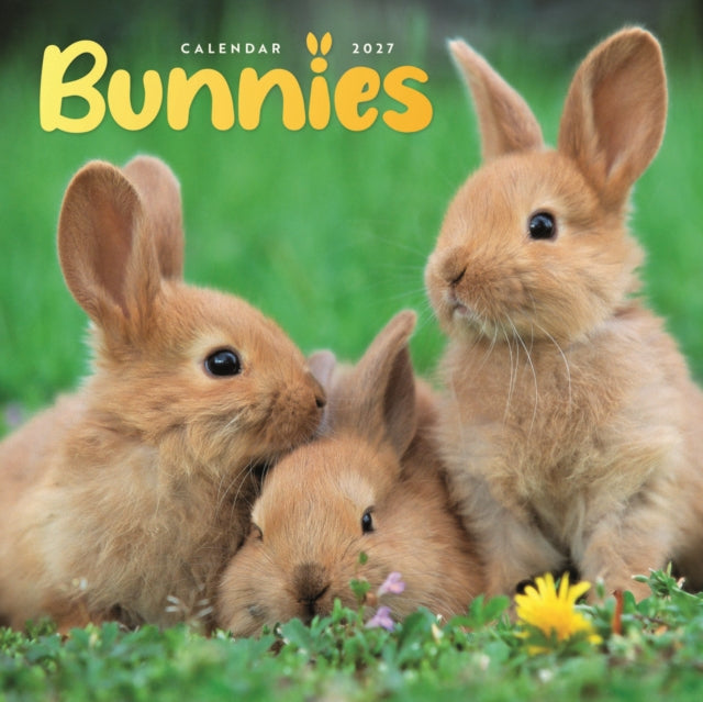 Bunnies Mini