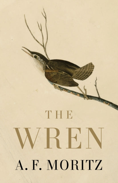 Wren