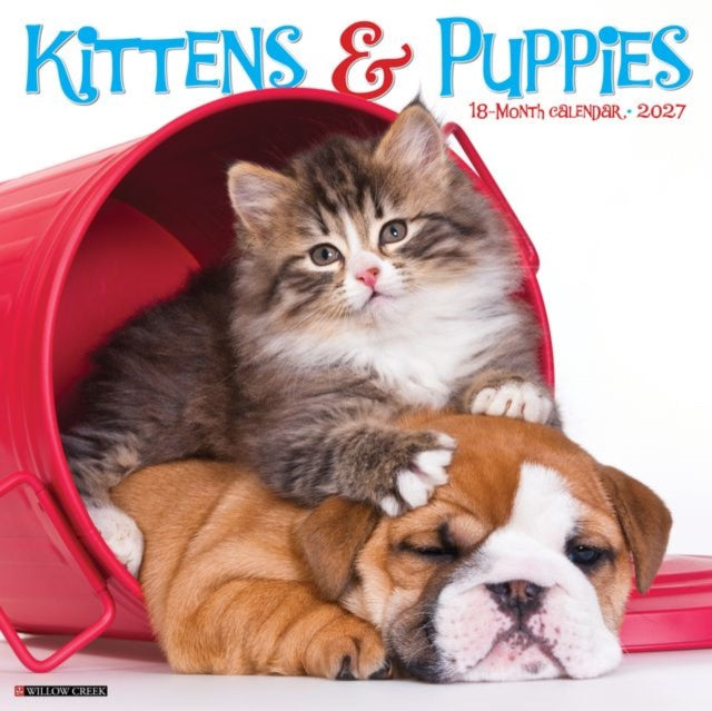 Kittens & Puppies 2027 Wall