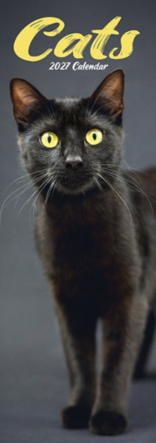 Cats Slim