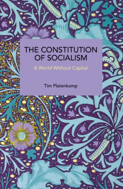 Constitution of Socialism