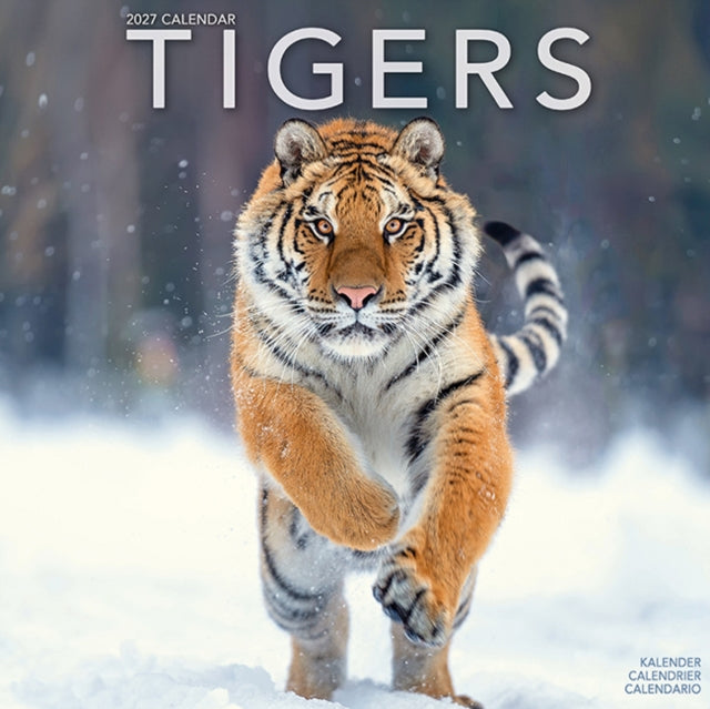 Tigers
