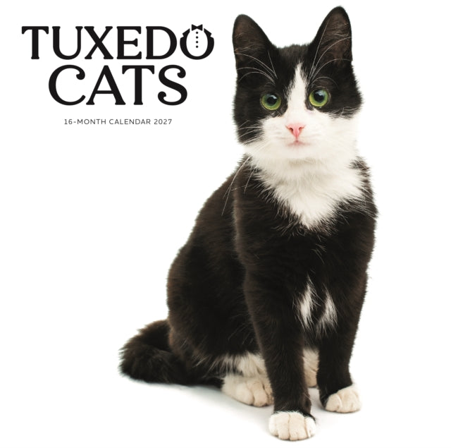 Tuxedo Cats SS ML Wall