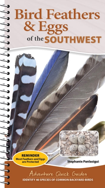 Bird Feathers & Eggs of the Southwest