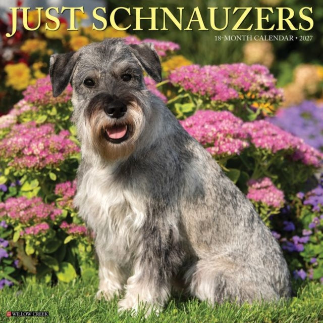 Schnauzers 2027 Wall