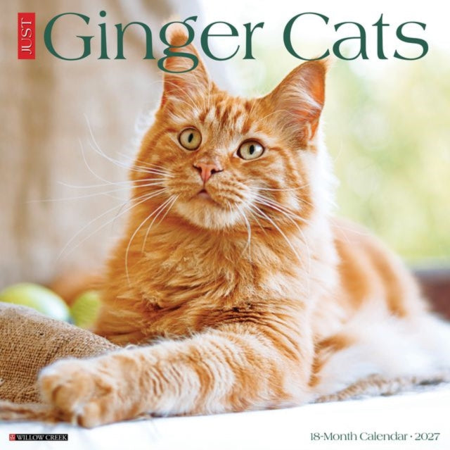 Ginger Cats 2027 Wall