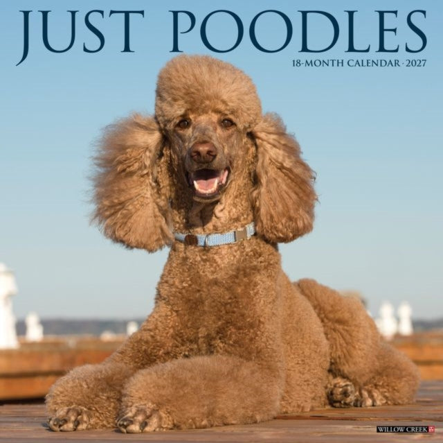 Poodles 2027 Wall