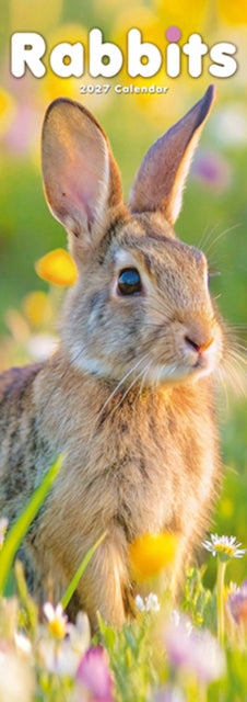 Rabbits Slim