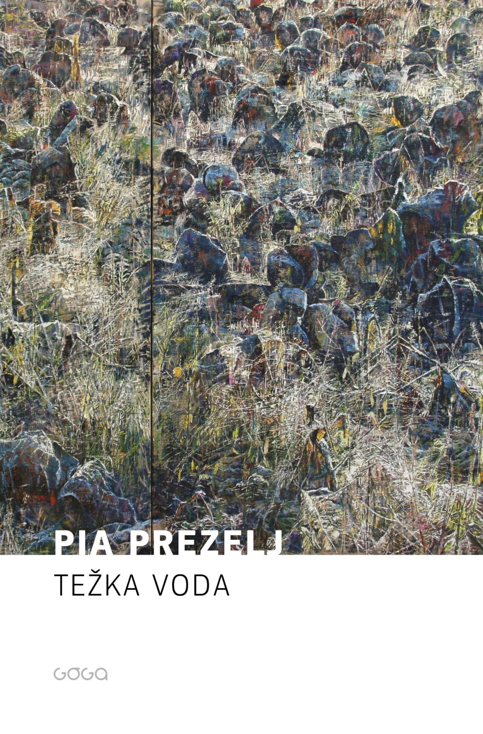 Težka voda (Finalist za nagrado kresnik 2024)