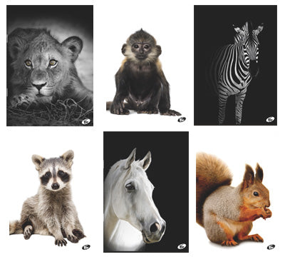 ZVEZEK A4 D E-694190 ROB 52L 80G ŽIVALI