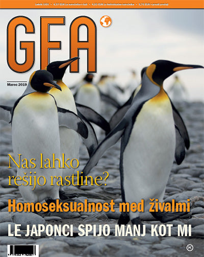 Revija GEA - Letna naročnina