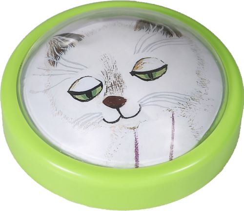 Muca copatarica, nočna lučka