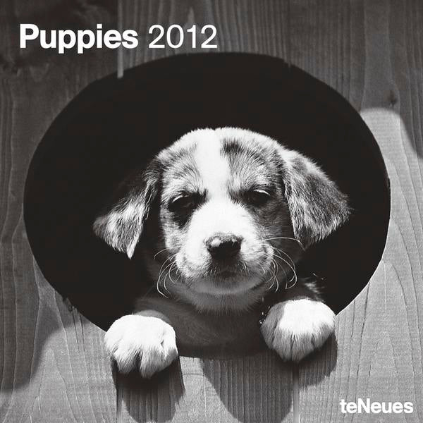 2012 Puppies Grid Calendar