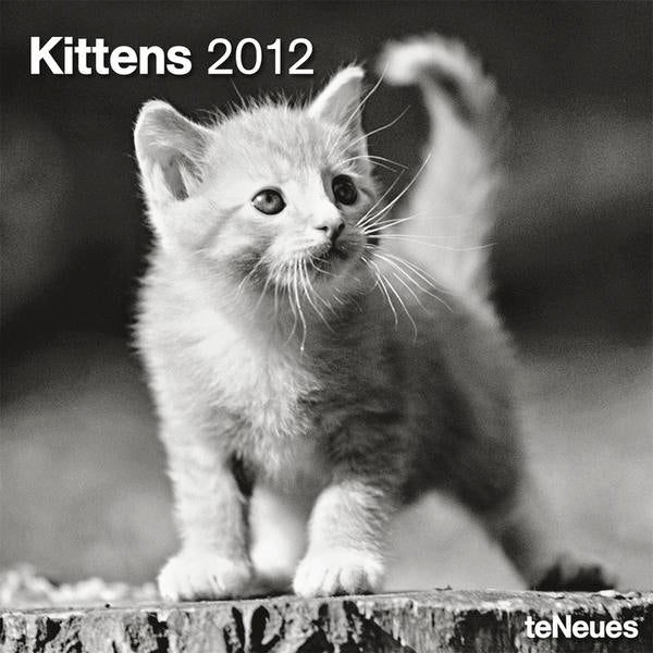 2012 Kittens Grid Calendar
