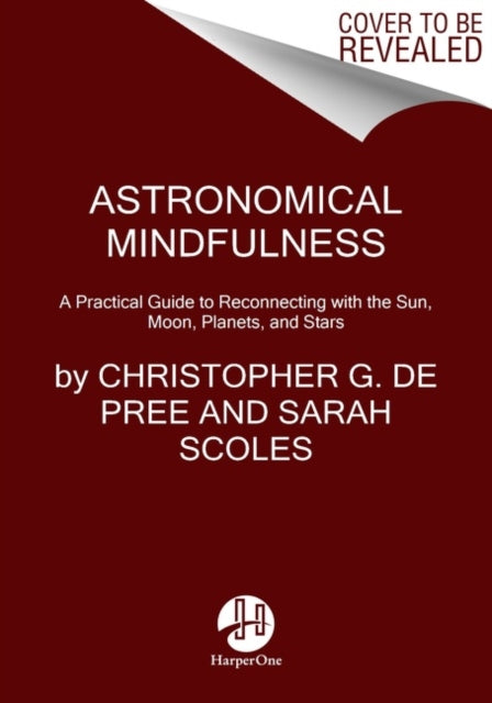Astronomical Mindfulness