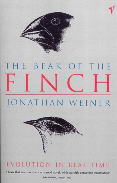 Beak Of The Finch
