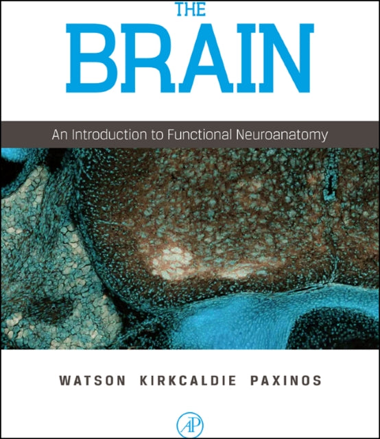Brain