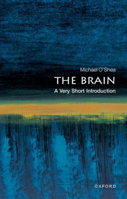 Brain