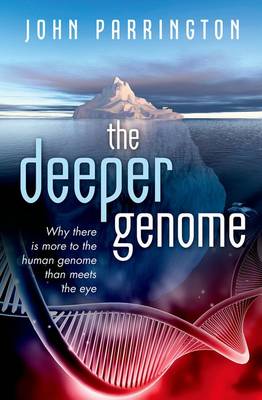 The Deeper Genome: Why There is More to the Human Genome Than Meets the Eye