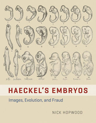 Haeckel's Embryos: Images, Evolution, and Fraud