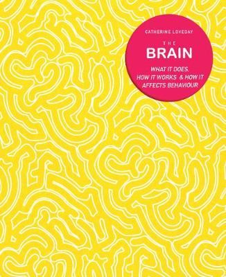 The Brain
