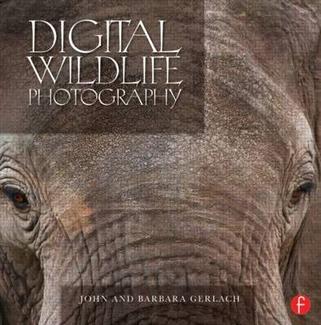 DIGITAL WILDLIFE PHOTOGRAPHY