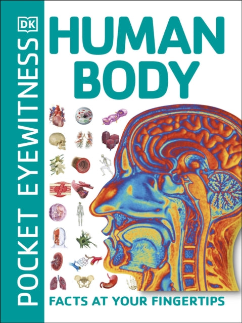 Pocket Eyewitness Human Body - Facts at Your Fingertips