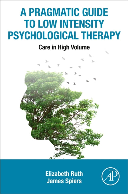 Pragmatic Guide to Low Intensity Psychological Therapy