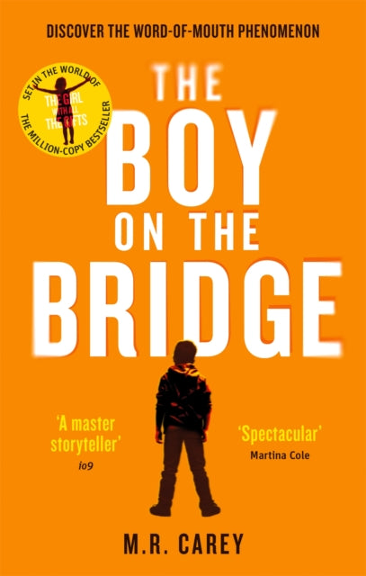 Boy on the Bridge