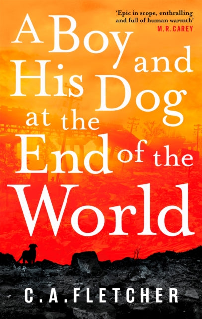 Boy and his Dog at the End of the World
